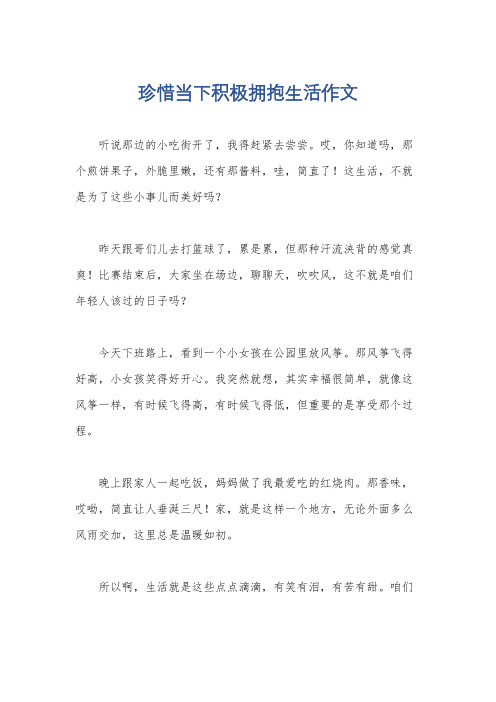 珍惜当下积极拥抱生活作文