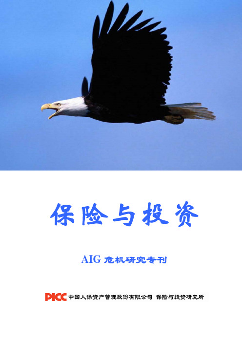 保险与投资(AIG危机研究专刊)