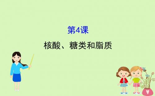 2019届高考生物一轮复习第一单元走近细胞及组成细胞的分子第4课核酸糖类和脂质课件新人教版