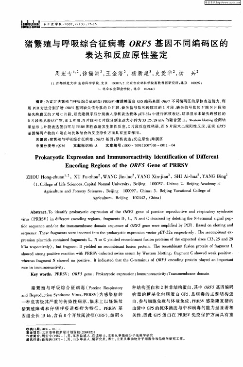 猪繁殖与呼吸综合征病毒ORF5基因不同编码区的表达和反应原性鉴定