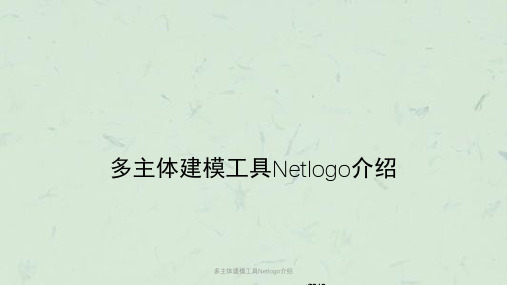 多主体建模工具Netlogo介绍课件