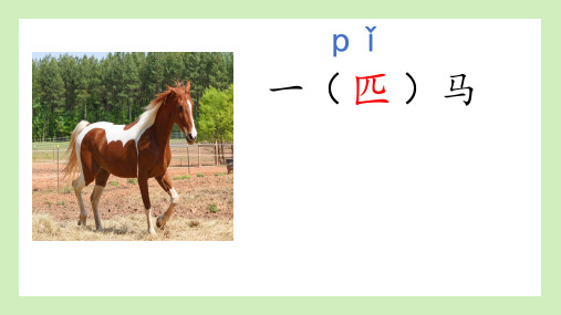 一匹出色的马ppt课件