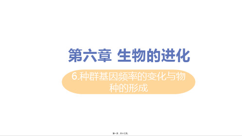 新教材人教版高中生物必修二 6.3 种群基因组成的变化与物种的形成 教学课件