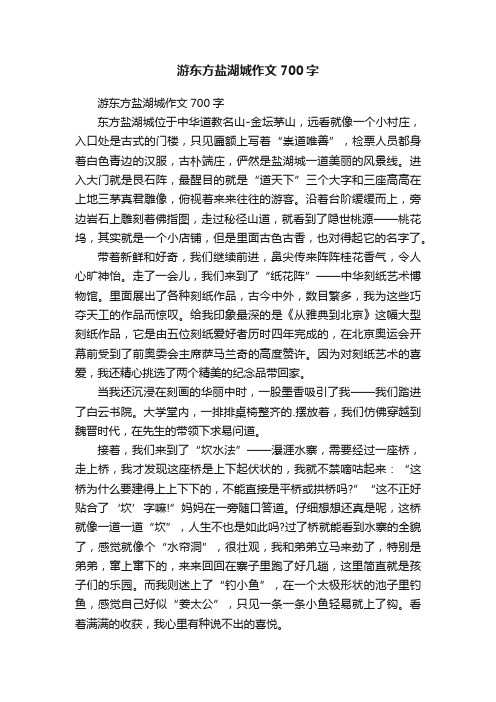 游东方盐湖城作文700字