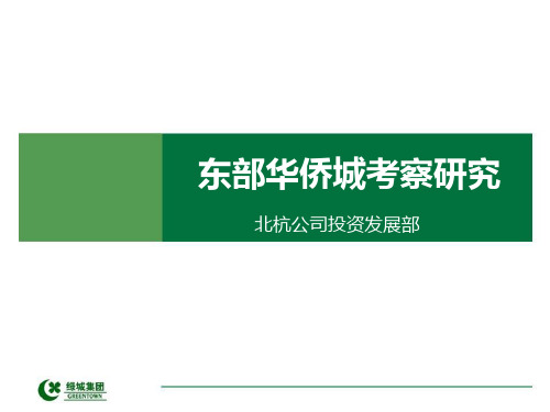 东部华侨城项目规划及案例研究.pptx