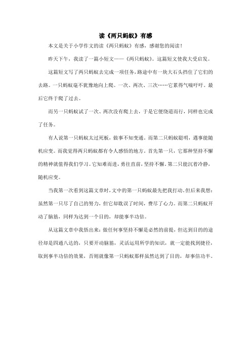 读《两只蚂蚁》有感_小学作文