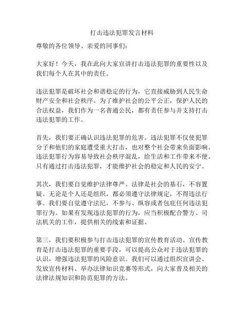 打击违法犯罪发言材料