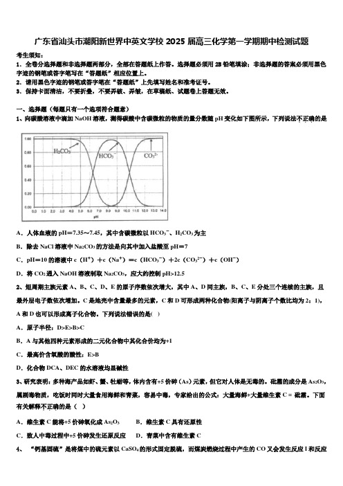 广东省汕头市潮阳新世界中英文学校2025届高三化学第一学期期中检测试题含解析