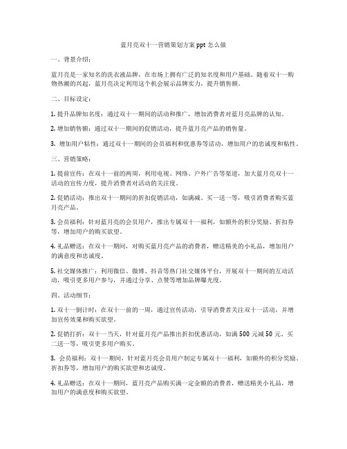 蓝月亮双十一营销策划方案ppt怎么做