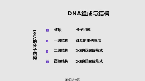 重组DNA技术基础.pptx