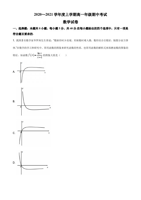 河北省衡水市衡水中学实验学校2020-2021学年高一上学期期中数学试题