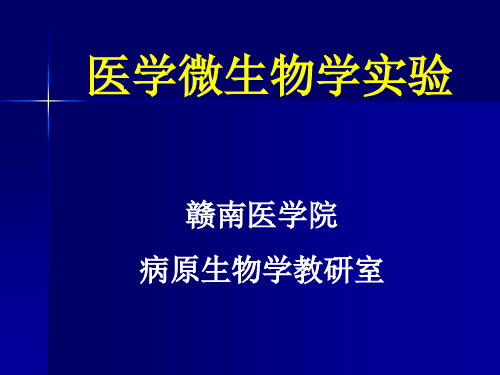 实验一 显微镜油镜的使用、细胞形态的观察及革兰氏染色