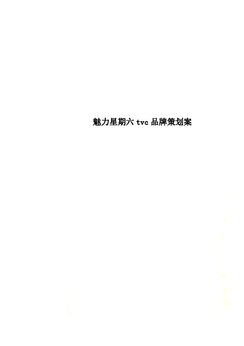 魅力星期六tvc品牌策划案