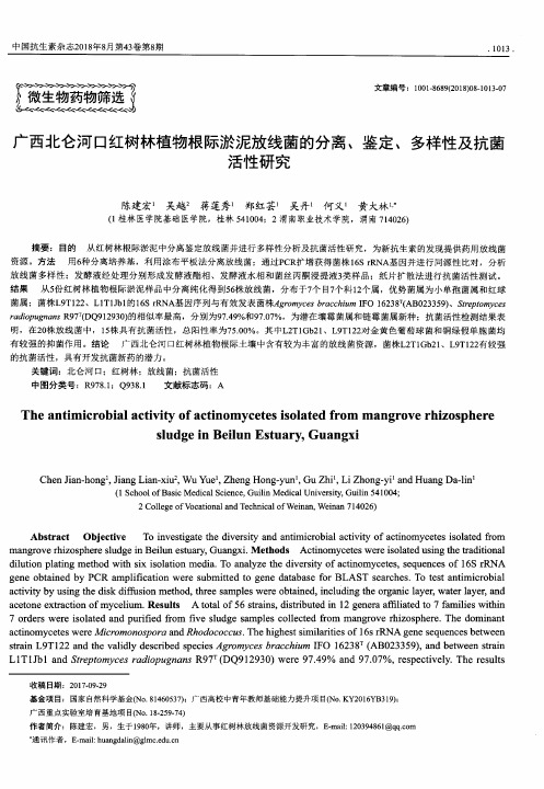 广西北仑河口红树林植物根际淤泥放线菌的分离、鉴定、多样性及抗菌活性研究