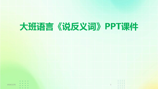 大班语言《说反义词》PPT课件