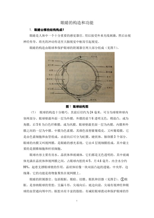 1眼睛的构成