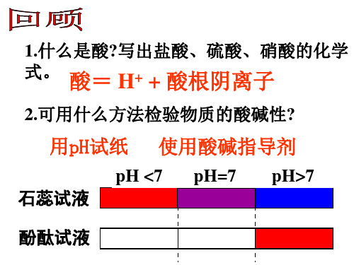 第二节探索酸的性质(浙江省嘉兴市秀城区)PPT课件(初中科学)