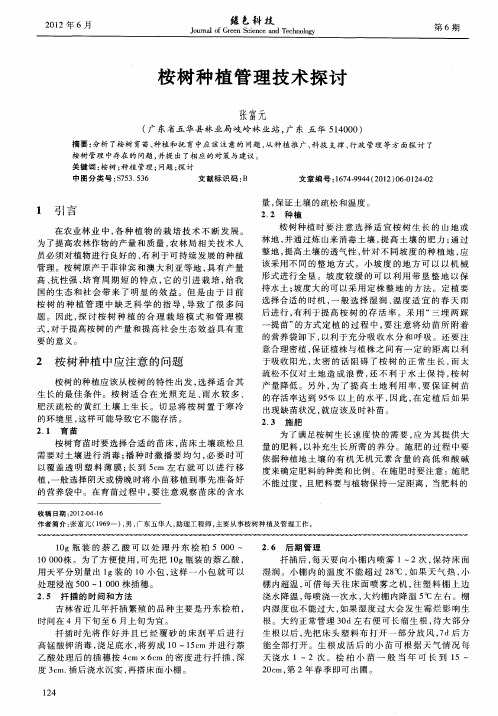 桉树种植管理技术探讨