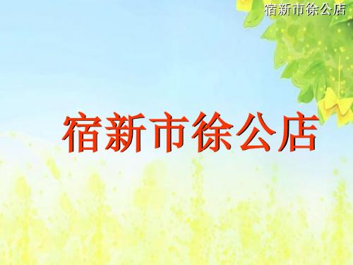 新课标人教版小学二年级语文下册:0202古诗两首《宿新市徐公店》PPT、优质教学课件