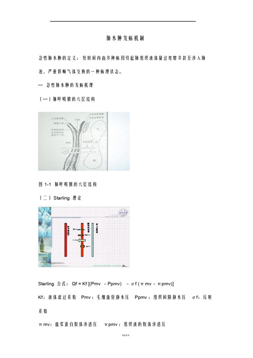 肺水肿发病机制