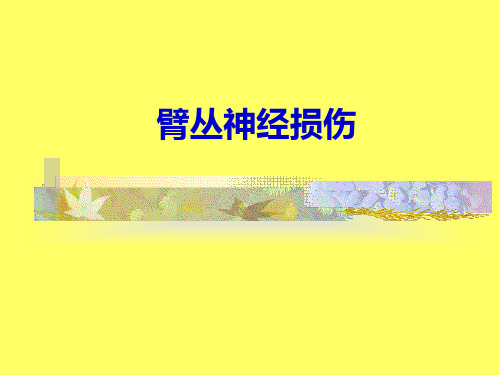 臂丛神经损伤