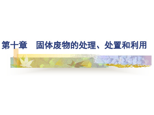 第十章固体废物的处理、处置和利用