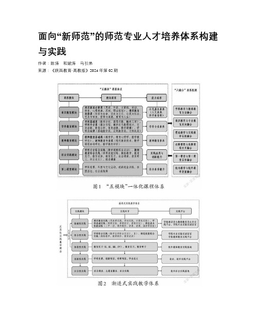 面向“新师范”的师范专业人才培养体系构建与实践