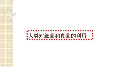 人教版八年级生物上册5.4.5人类对细菌和真菌的利用(共22张PPT)