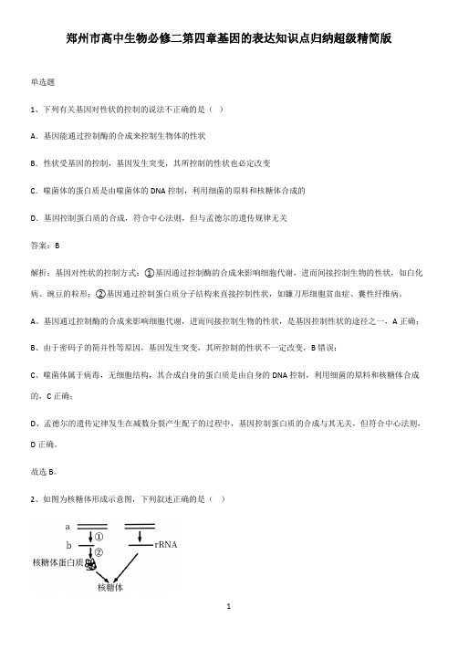 郑州市高中生物必修二第四章基因的表达知识点归纳超级精简版