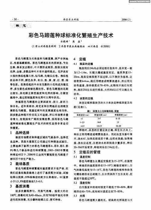 彩色马蹄莲种球标准化繁殖生产技术