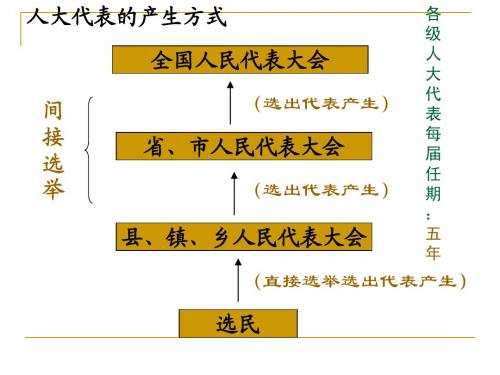 选举制度