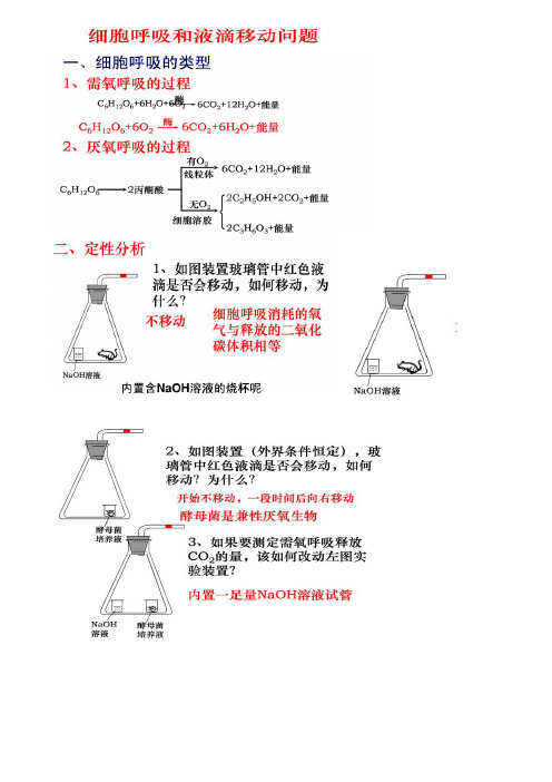 高中生物液滴移动问题