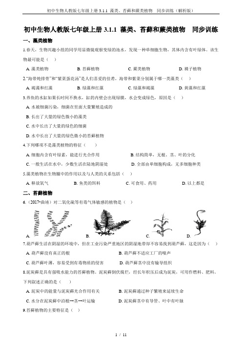 初中生物人教版七年级上册3.1.1 藻类、苔藓和蕨类植物  同步训练(解析版)