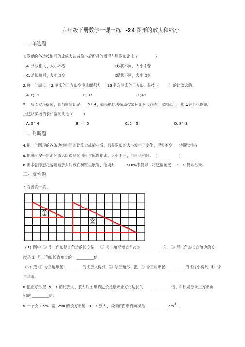 六年级下册数学一课一练-2.4图形的放大和缩小北师大版(含解析)