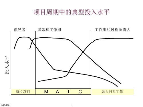 《SIGMA突破性策略》PPT课件