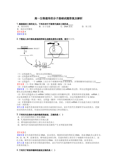 高一生物遗传的分子基础试题答案及解析
