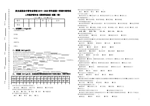 2019-2020解剖学第一学期中期试题及答案