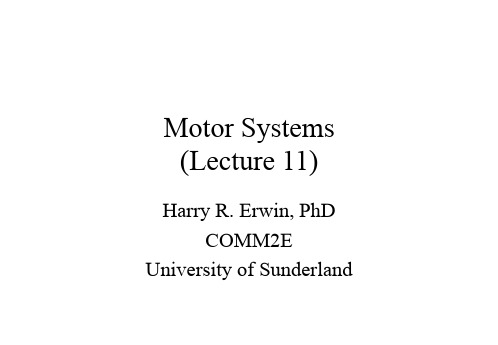 Motor System