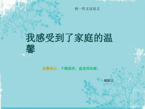 初一作文议论文《我感受到了家庭的温馨》800字