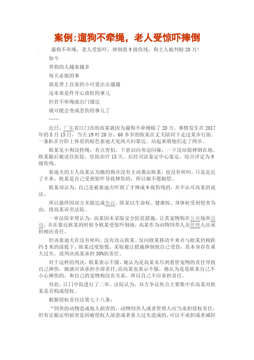 案例遛狗不牵绳,老人受惊吓摔倒