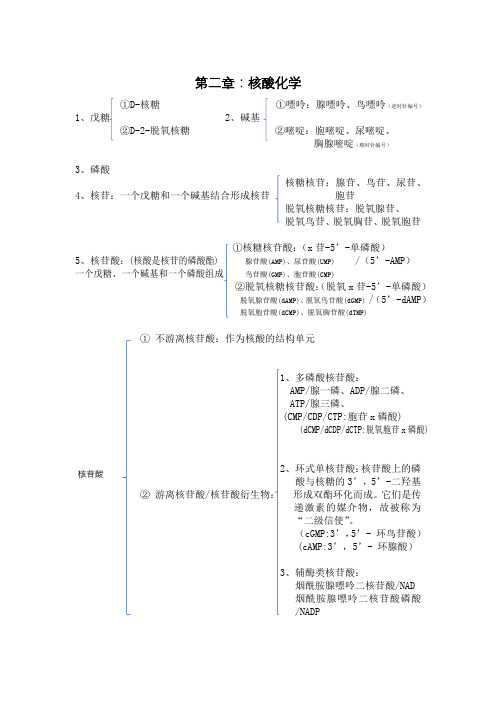 大一生物化学第二、三、五、七、八、章知识点总结