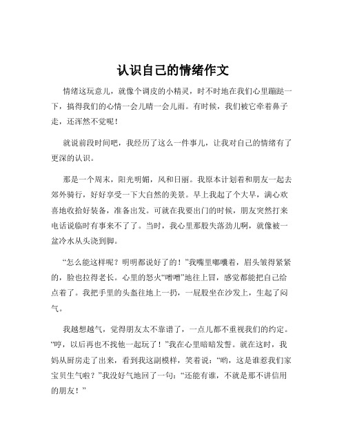 认识自己的情绪作文