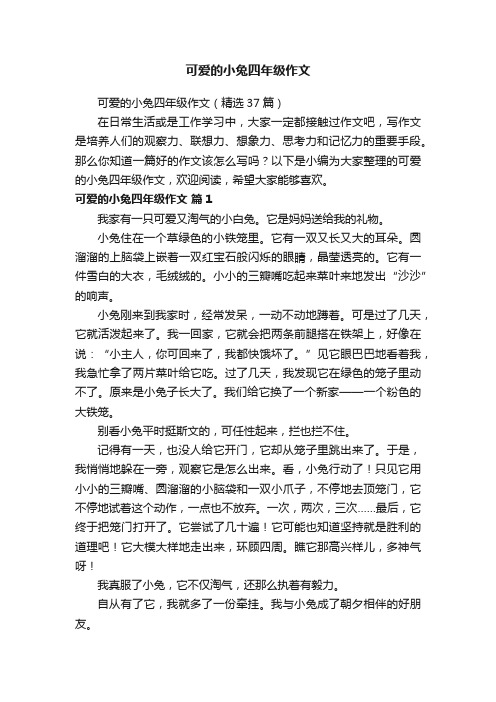 可爱的小兔四年级作文（精选37篇）