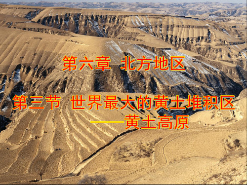 人教版地理八下6.3 世界上最大的黄土堆积区——黄土高原 导学课件(共25张PPT)