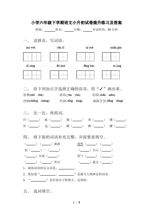 小学六年级下学期语文小升初试卷提升练习及答案