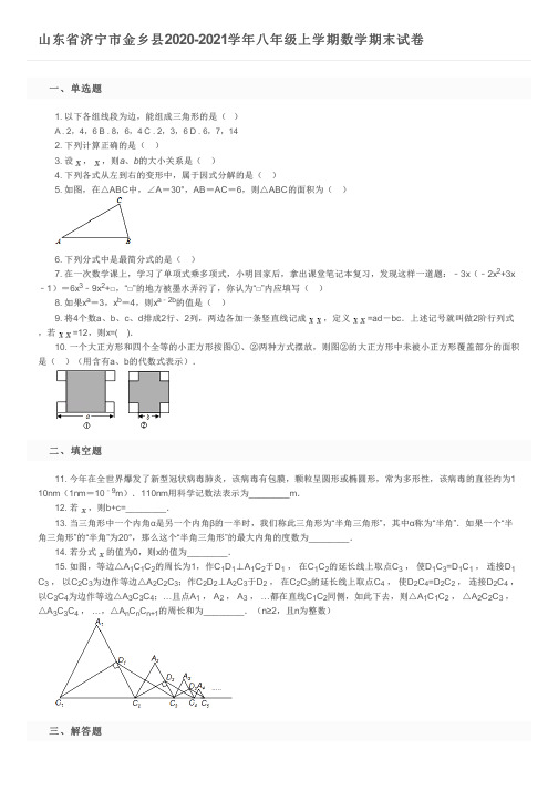 山东省济宁市金乡县2020-2021学年八年级上学期数学期末试卷及参考答案