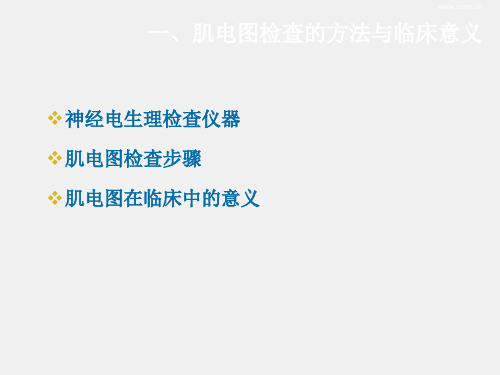 《康复护理学》课件第八节  神经肌电电生理检查