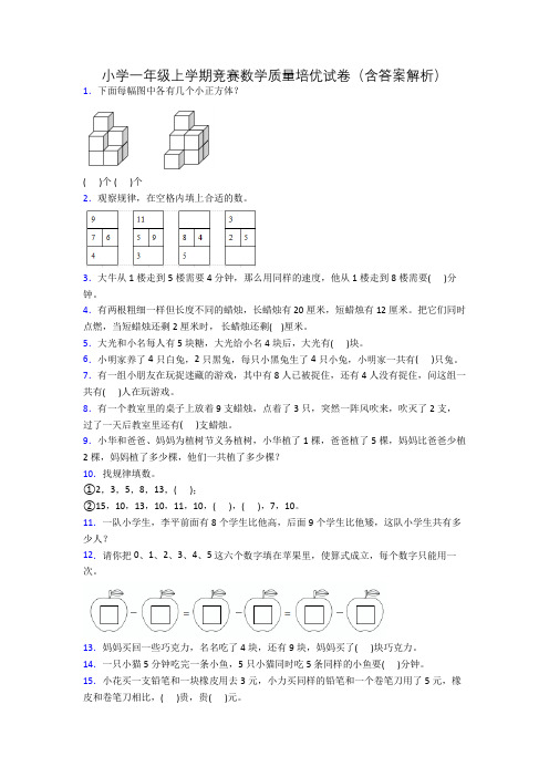 小学一年级上学期竞赛数学质量培优试卷(含答案解析)