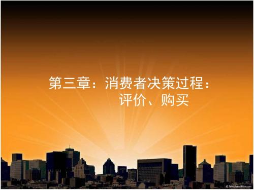 《消费者行为学》第三章-消费者决策过程：评价、购买