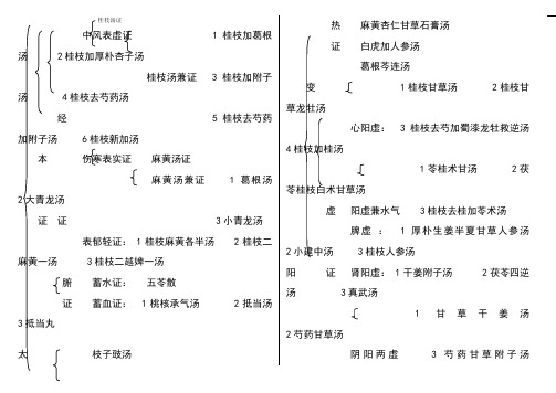 伤寒论辩证总结图表